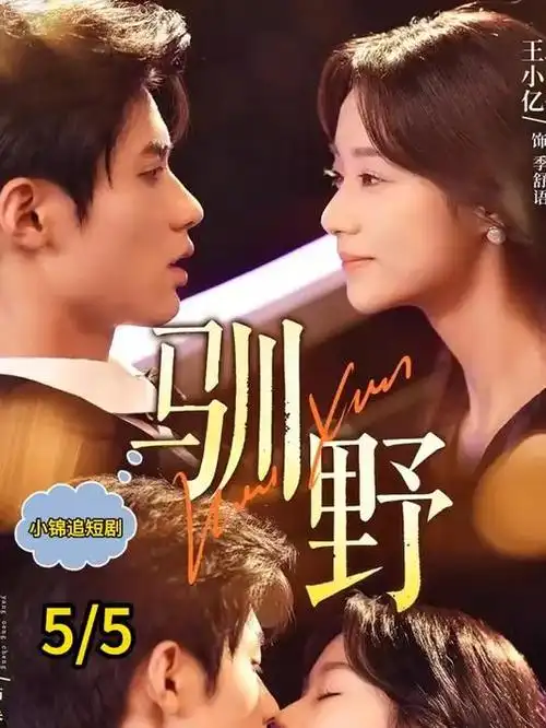热播榜第二名海报